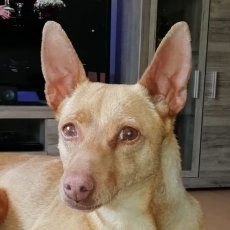 Zoe