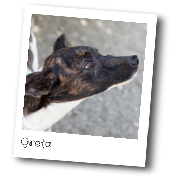 Greta