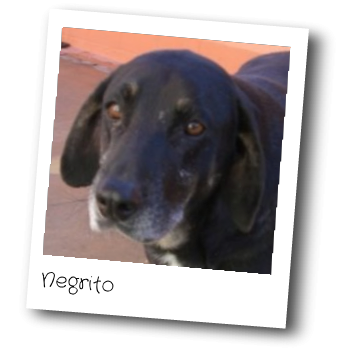 Negrito